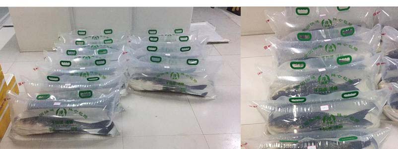 充氣包裝活魚(yú) 充氣包裝活魚(yú)